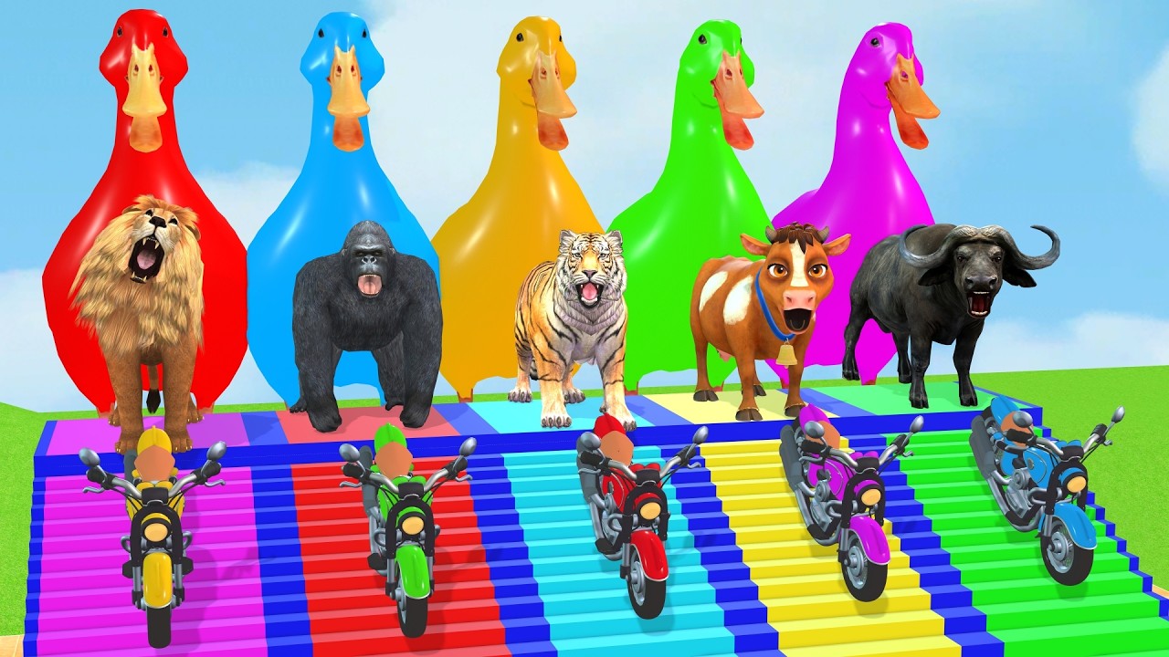 Long Slide Game With Cow Elephant Gorilla Hippopotamus Tiger 3d Animal Game Funny 3d AnimalsVideo