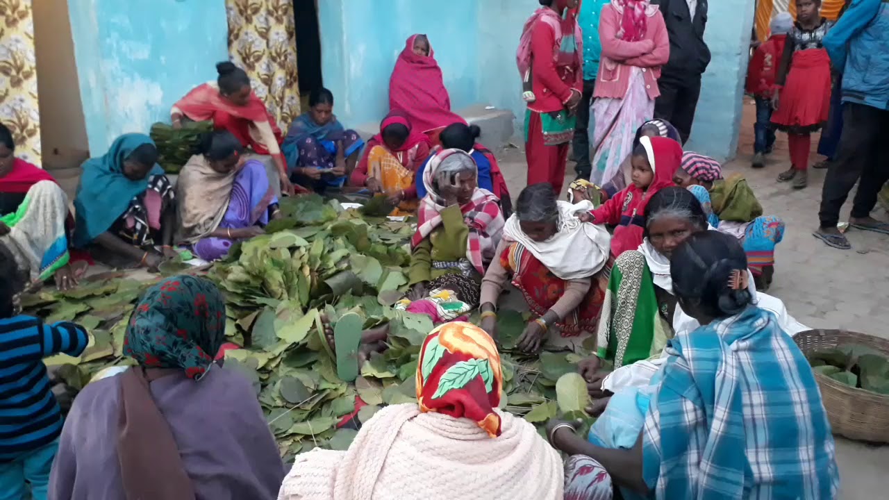 बेंजा डंडी स्वेच्छा उरांव कैरो लोहरदगा