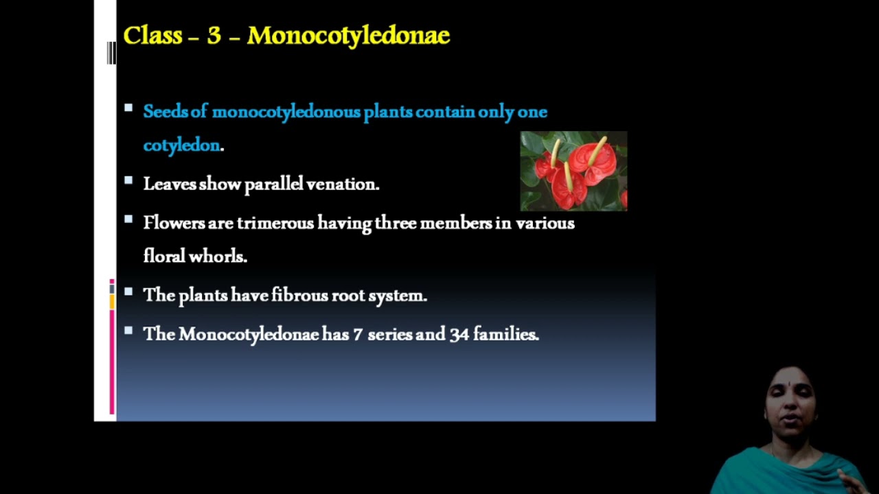 Benthem and and Hooker  system