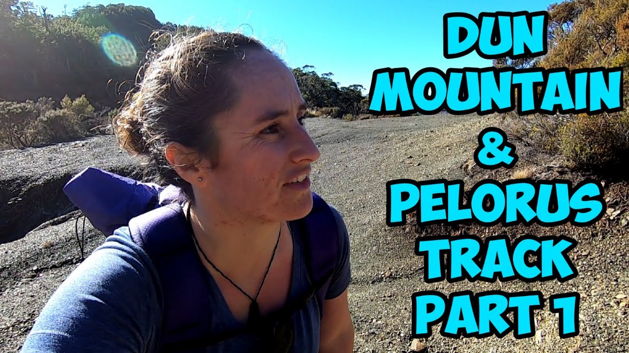 Dun Mountain & Pelorus Track Part 1 - New Zealand Adventures - Chilly Bin Hikes