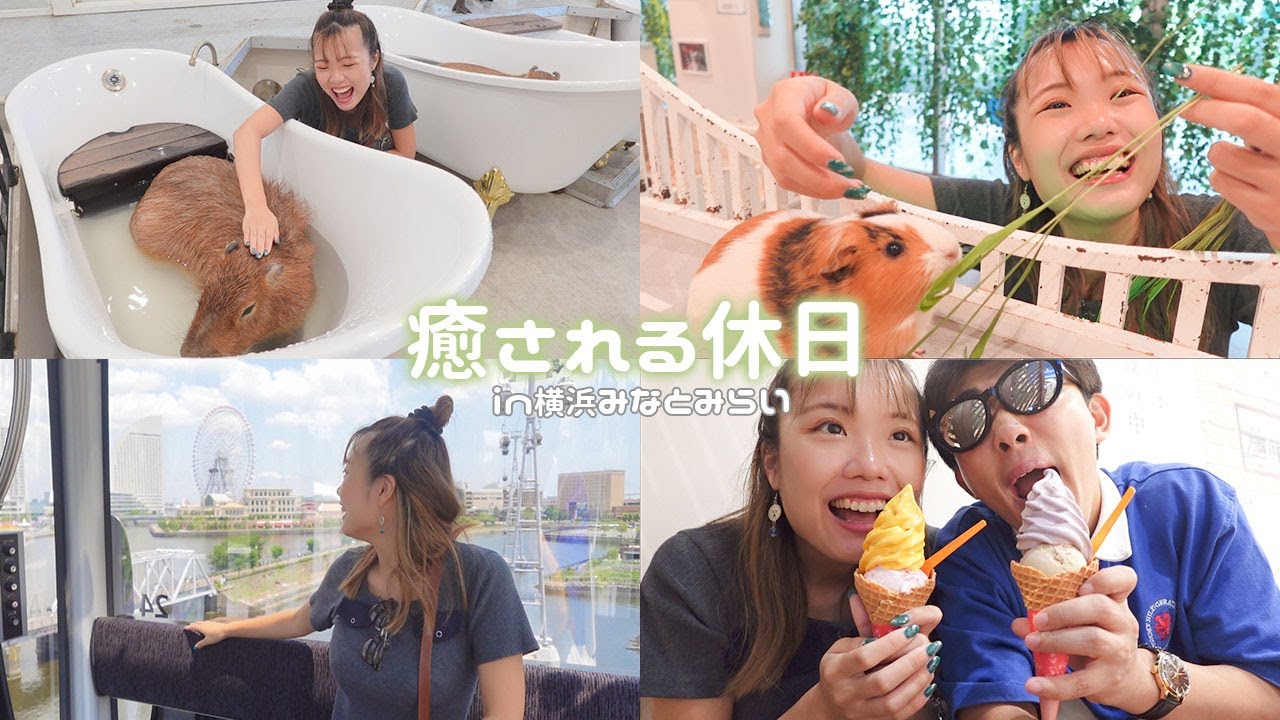 【vlog】夫婦の休日デート👫動物に癒されまくった in 横浜みなとみらい