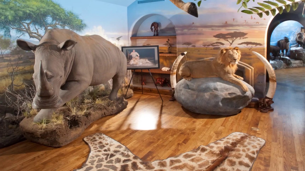 Animal Artistry - Taxidermy Trophy Rooms