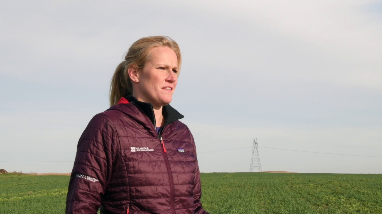 Soil Health Practices for Managing Sandy Soils