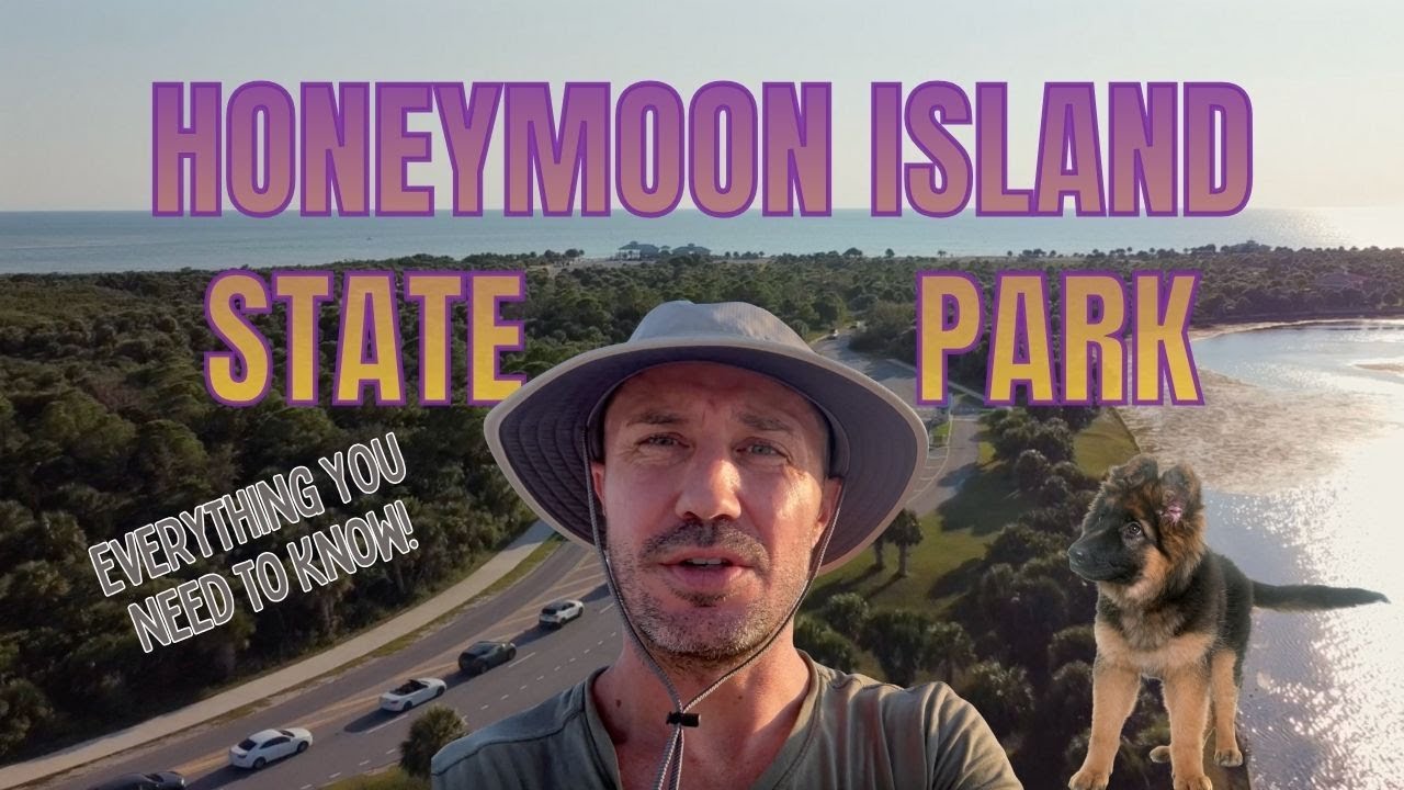 Honeymoon Island State Park Everything You Need To Know!