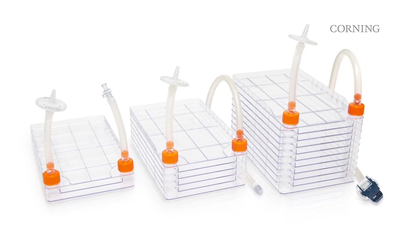 Streamline Your Cell Culture with Corning Closed System CellSTACK Vessels