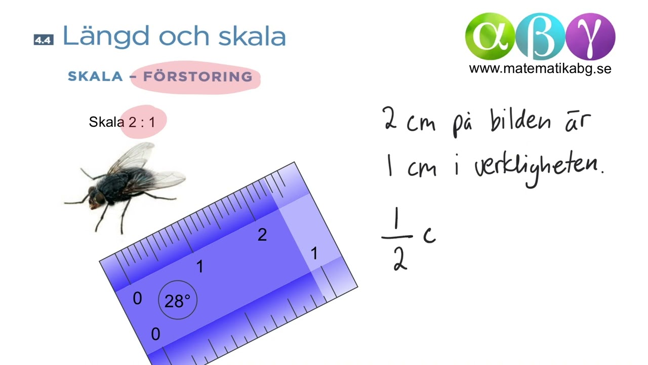 G 4.4 Längd och skala