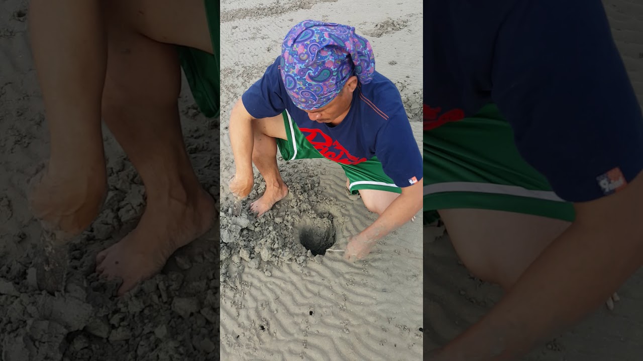 paano pagkuha ng sasing ( sand worm)