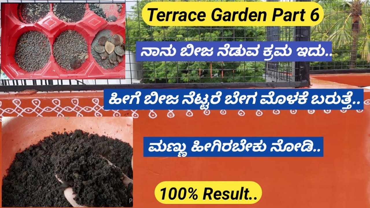 ಟೆರೇಸ್ ನಲ್ಲಿ ನಾನು ಹೇಗೆ ಬೀಜ ಹಾಕಿದೆ ನೋಡಿ/Complete Guide to sowing seeds/paper pots/seeds starting