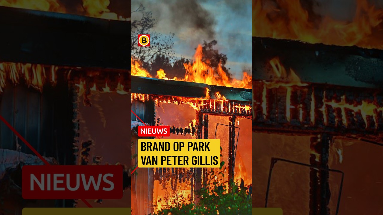 Brand op park Peter Gillis | #brand
