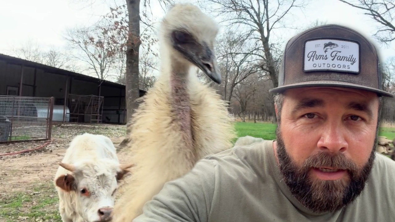 Things Are Getting Weird Around Here!