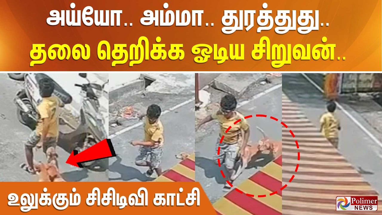 அய்யோ.. அம்மா.. துரத்துது..தலை தெறிக்க ஓடிய சிறுவன்..உலுக்கும் சிசிடிவி காட்சி..