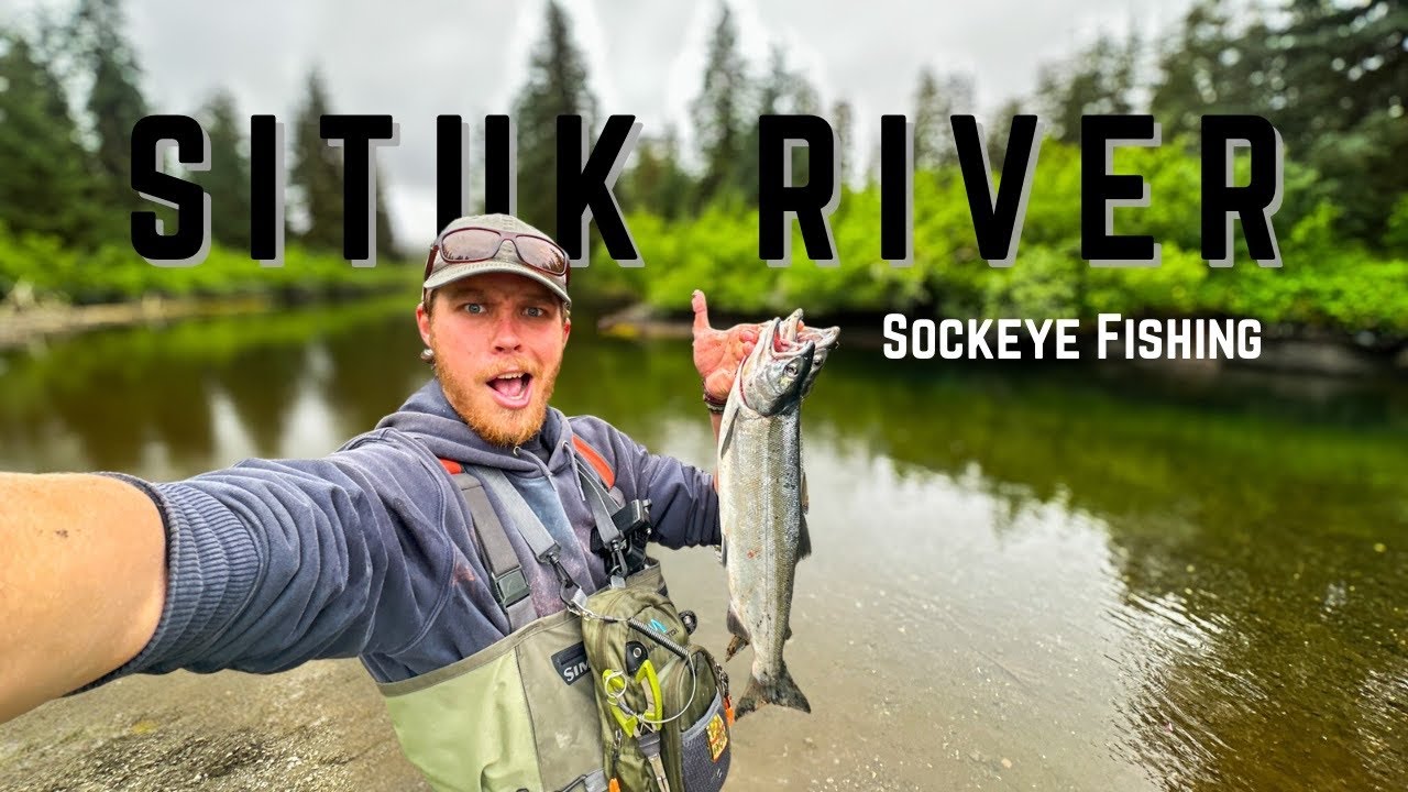 Can I Catch Salmon? Fishing in Alaska's Greatest River for Sockeye Salmon