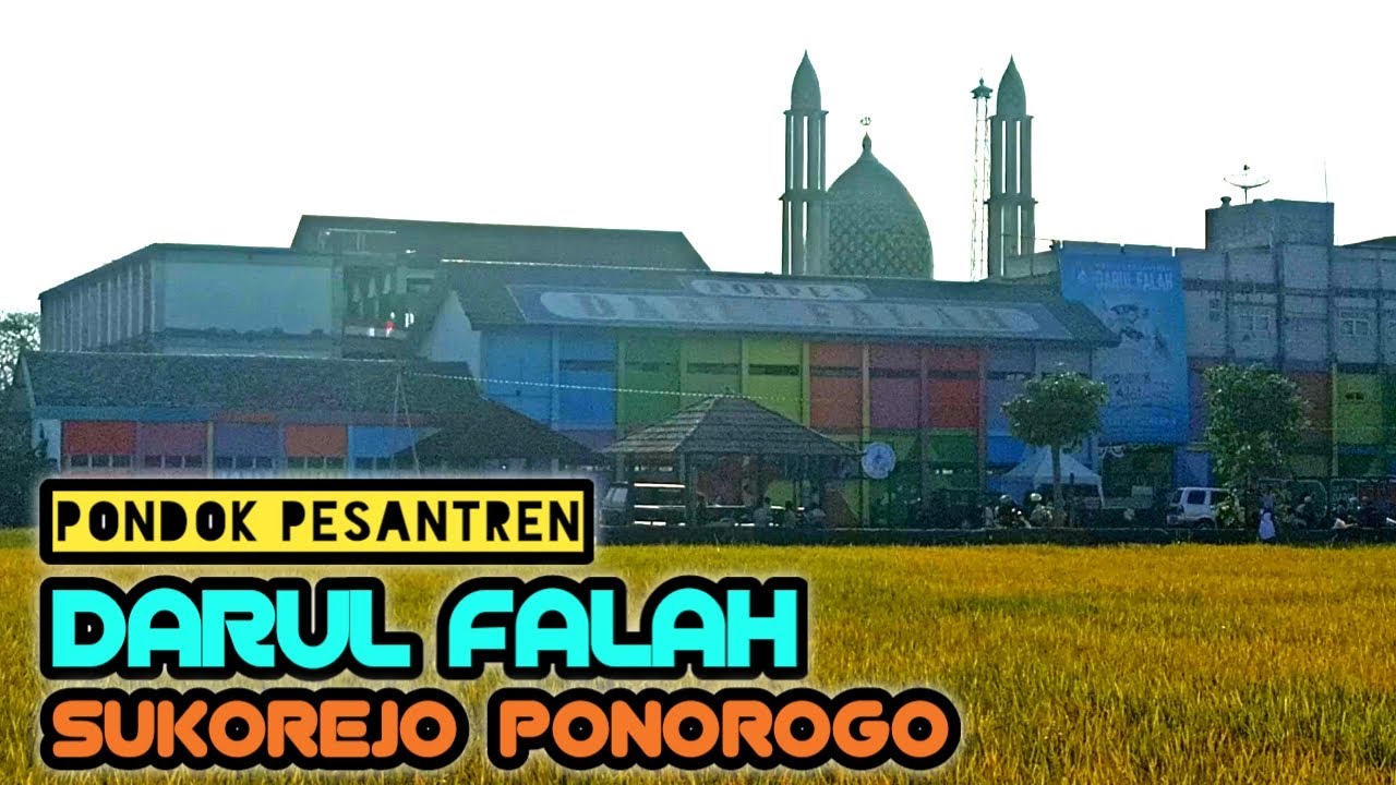 MONDOK AJA❗❗di pondok pesantren Darul Falah // sholeh kreatif mendunia - PESANTREN NUSANTARA