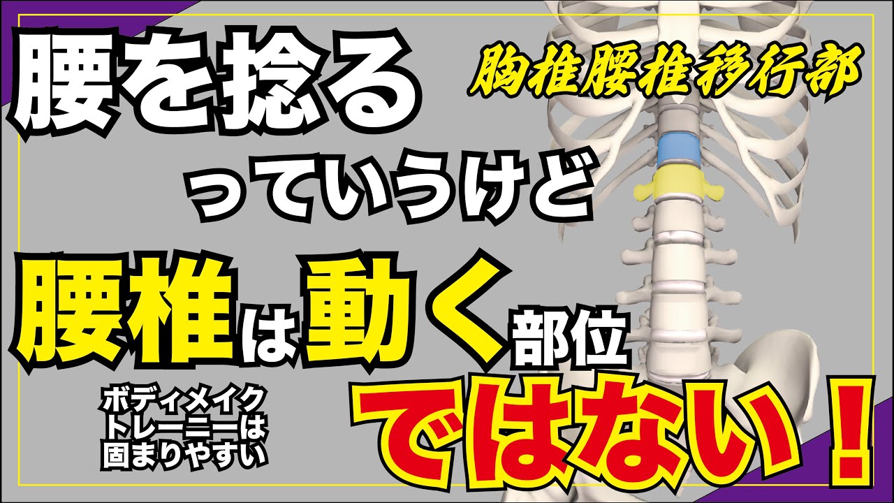 腰を捻る腰を回す。言葉で言うけど運動学的には！？　#筋トレ　#腰椎　#腰痛　