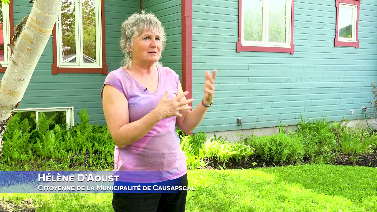 La bande absorbante