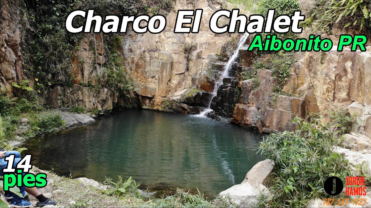 Verifique el Fondo Charco El Chalet en Aibonito PR