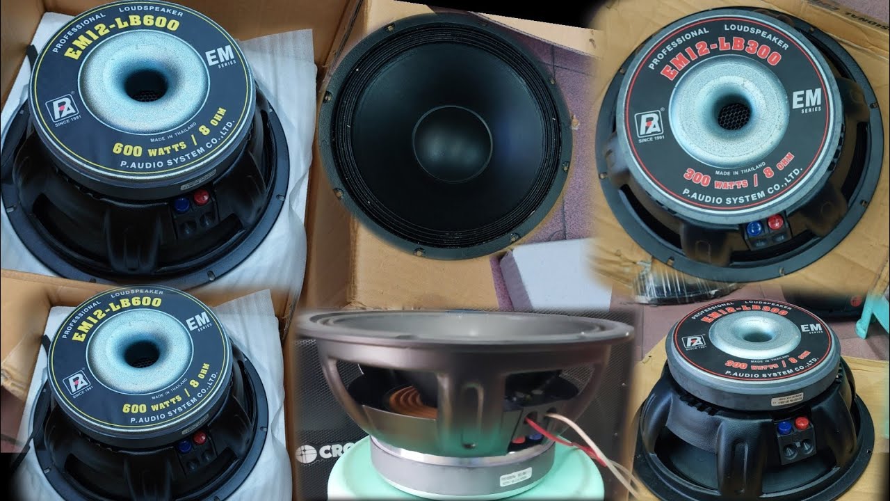 PAudio EM12-LB600/EM12-300LB Sound test