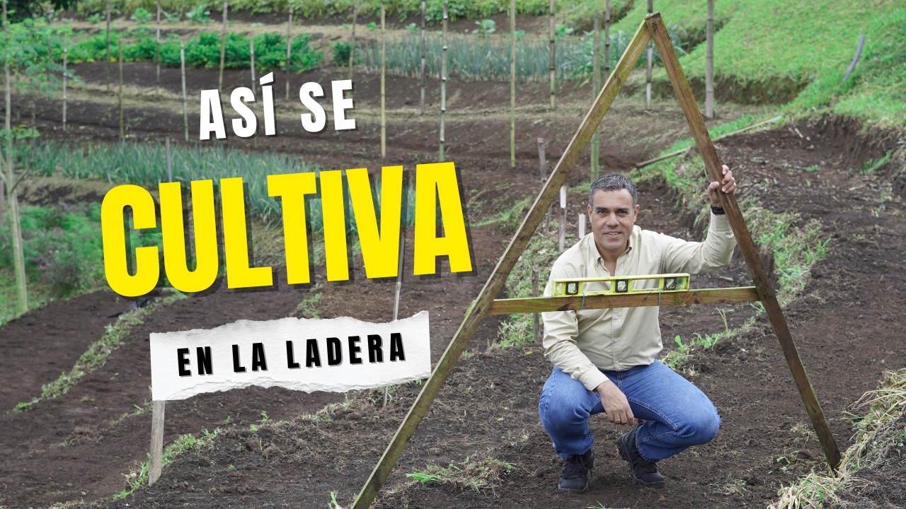 Cómo hacer terrazas a curvas de nivel (y por qué cambiarán tu finca)