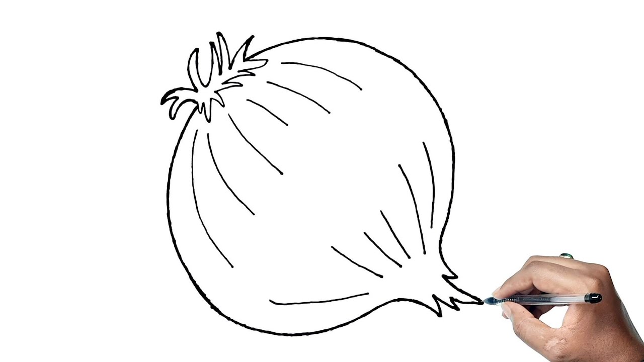 How To Draw An Onion Drawing Step By Step For Kids