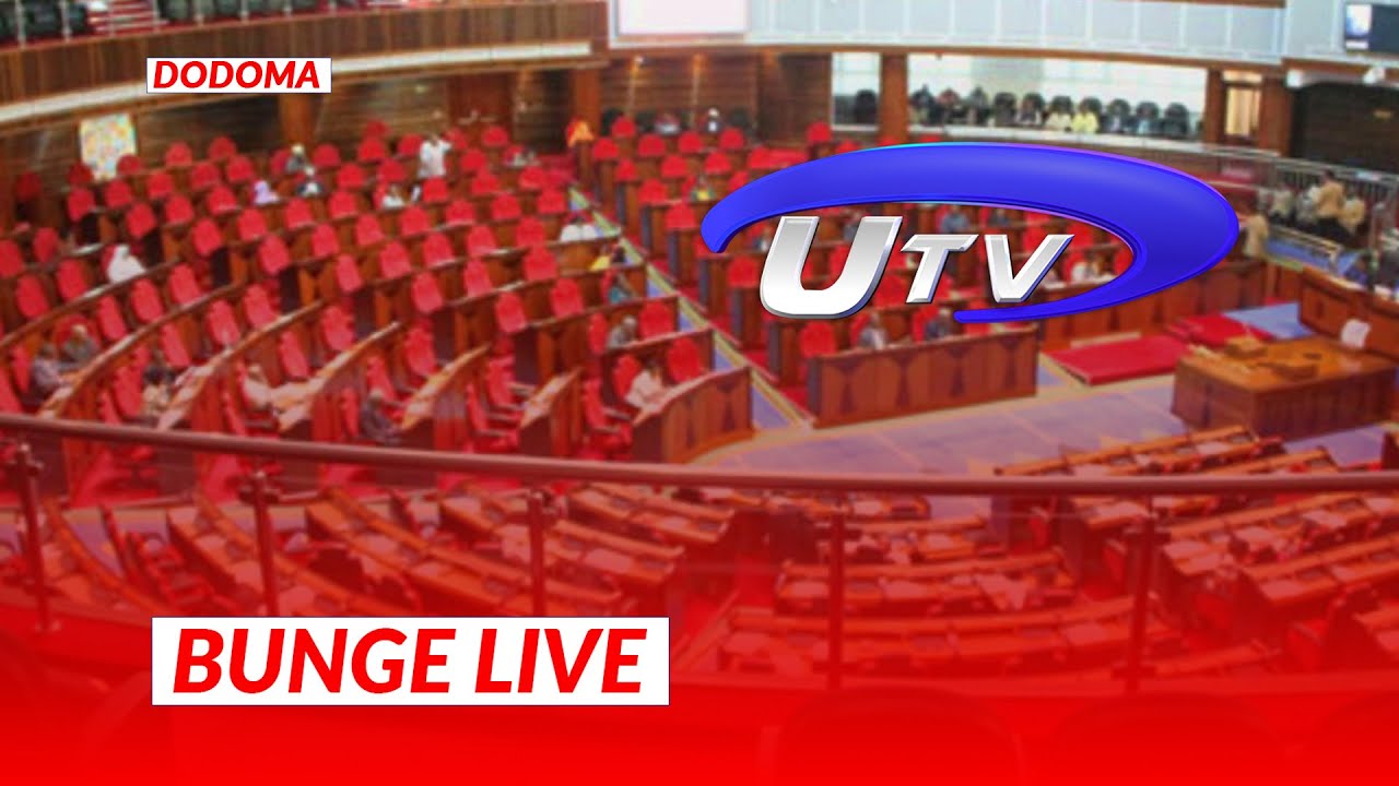 BUNGE LIVE | MKUTANO WA 19| KIKAO CHA 20 |  MASWALI NA MAJIBU  | 08/05/2025