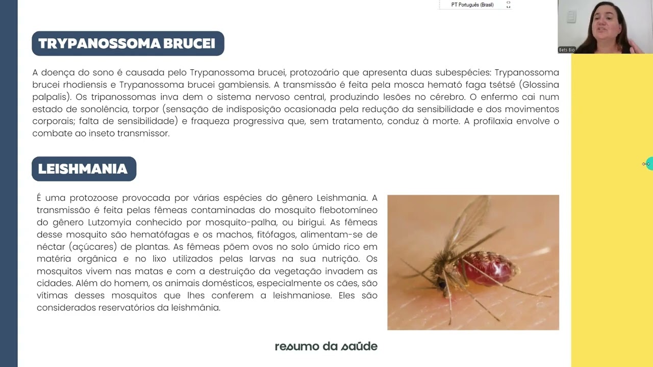 Aula 28 ‐ Doenças causadas por protozoários flagelados  Leishimaniose