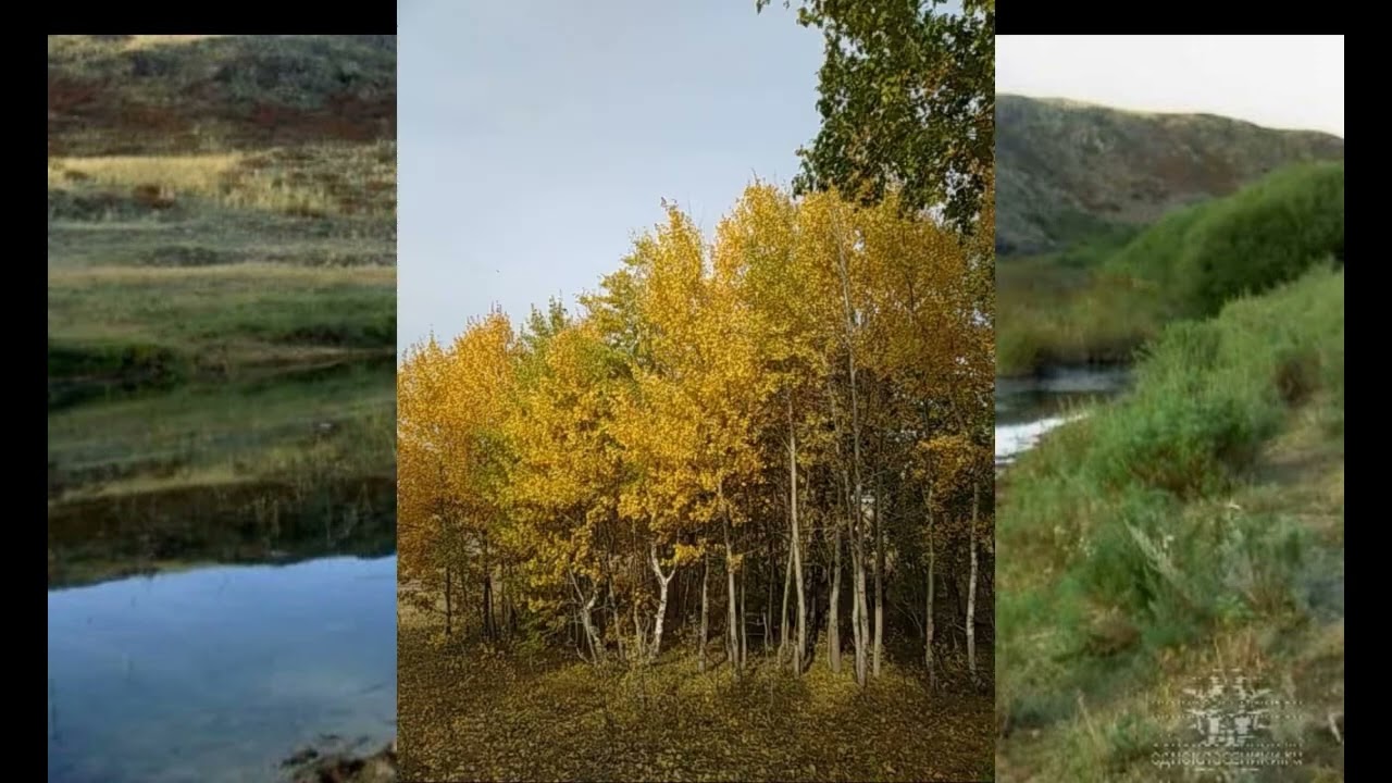 Село Красивое mp4