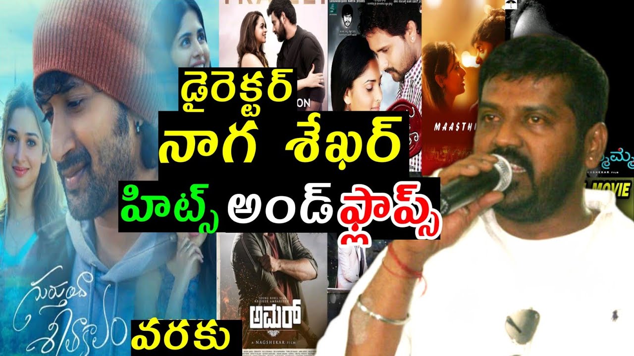 director nagashekar Hits and Flops all movies upto gurthunda seethakalam review