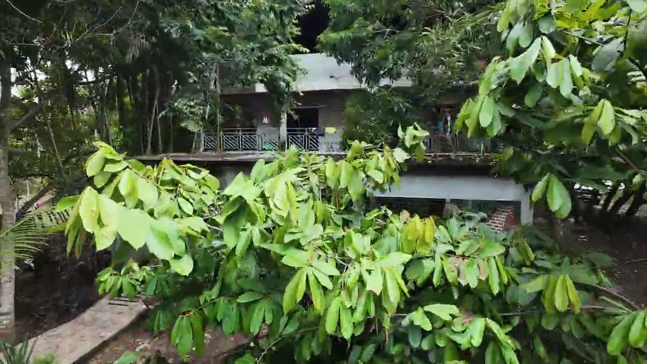 Casa da mamãe #fpv , #djibrasil ,#drone #dronefootage , #avatar2 , #dronefpv 