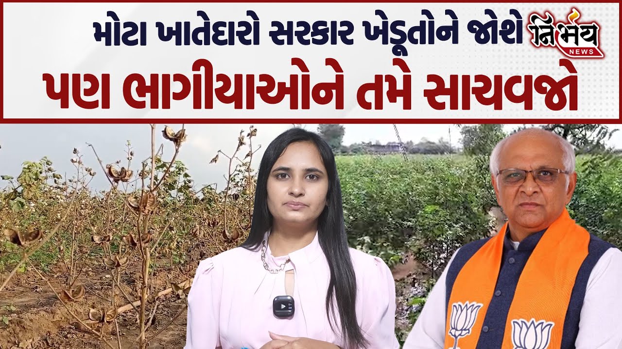 Gujarat માં કમોસમી વરસાદ વરસ્યો સરકાર મોટા ખેડૂતોને સાચવશે પણ ભાગીયાઓને કોણ સાચવશે ? | Jitu Vaghani