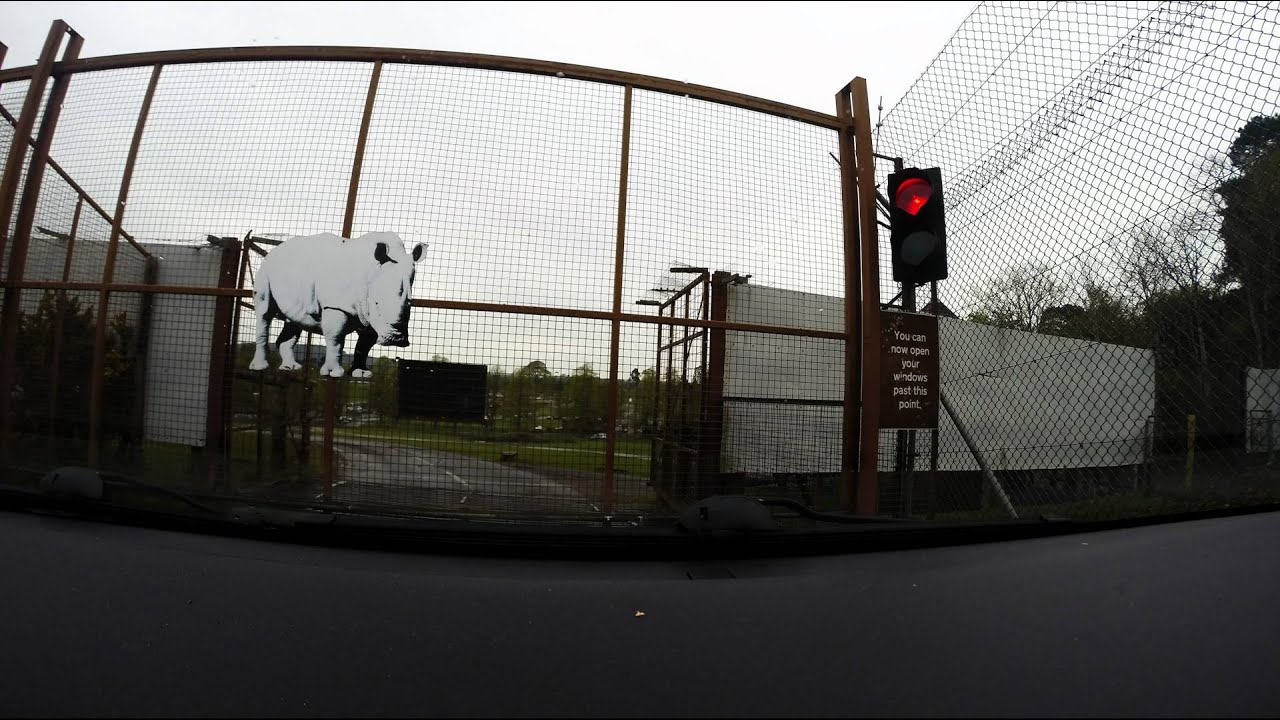 West Midlands Safari Park Time Lapse