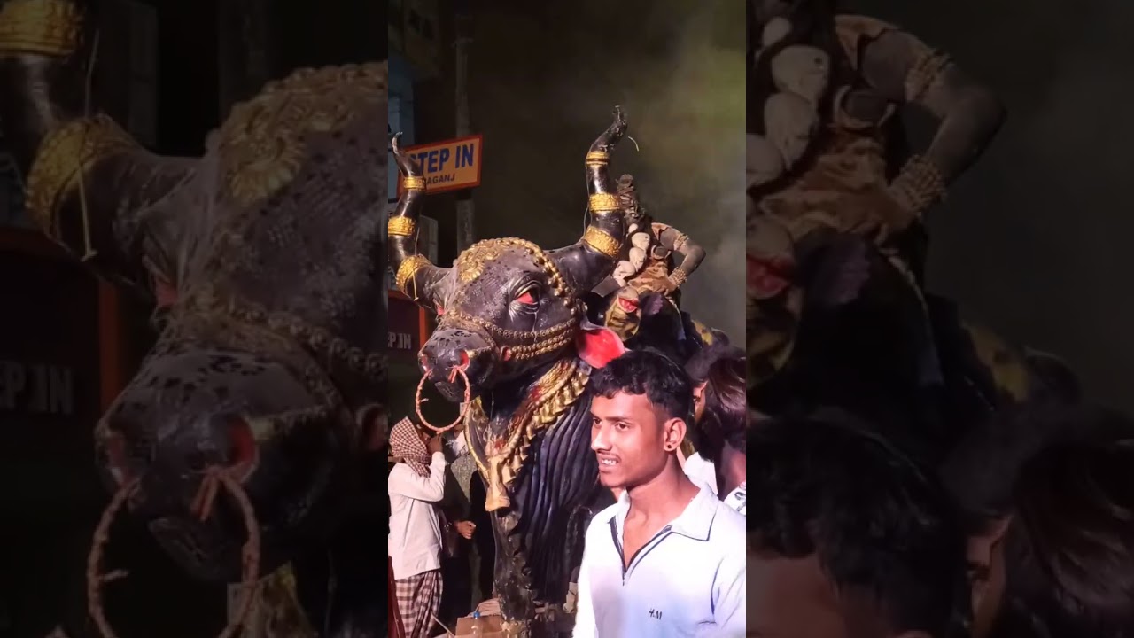 মুর্শিদাবাদ জিয়াগঞ্জ-এর শিব বিসর্জনের নগর পরিক্রমা 🙏🙏