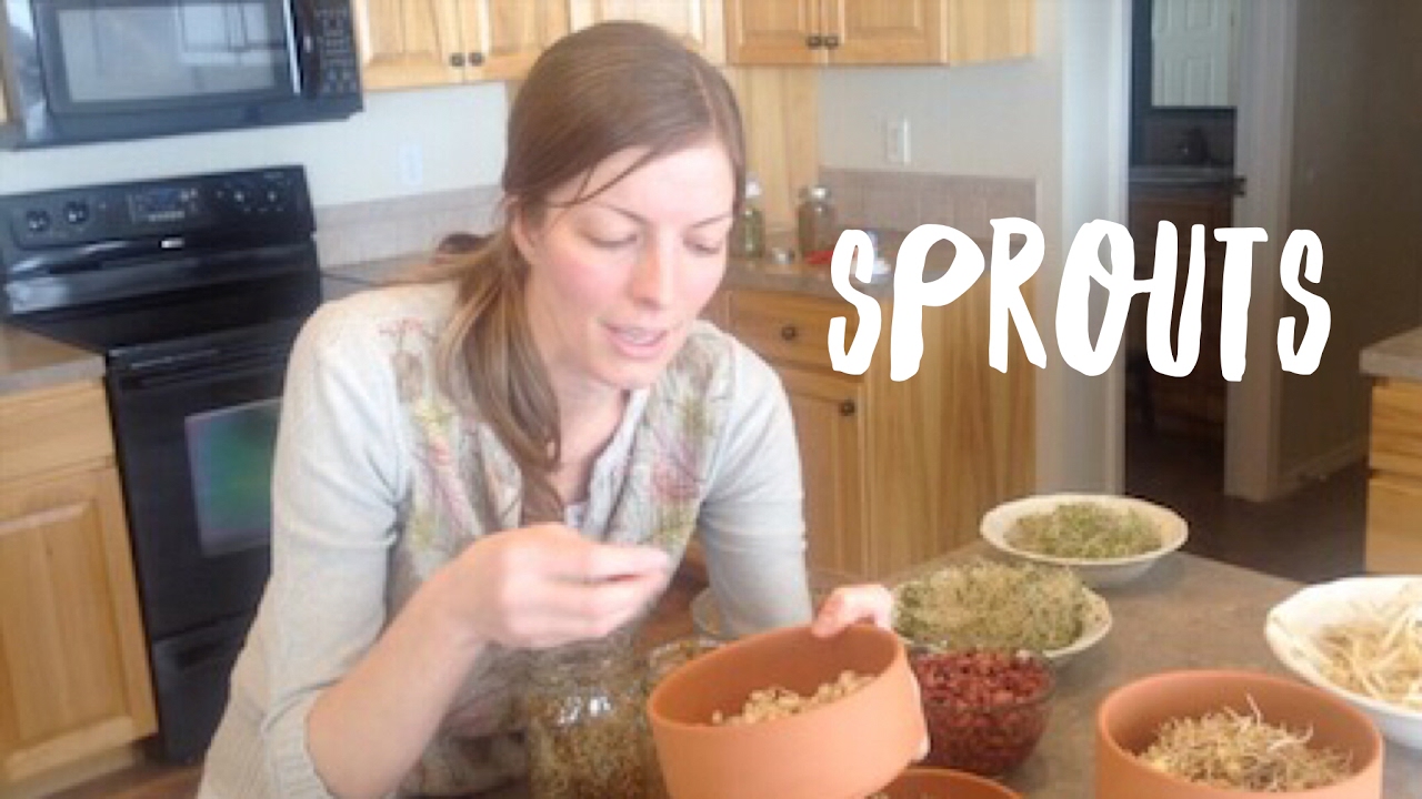 Sprouting Master Class with Angela Withers | Skill of the Month Club