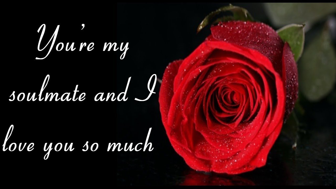 Thank you for everything you’ve done for me. You’re my soulmate and I love you so much/Pernia quotes