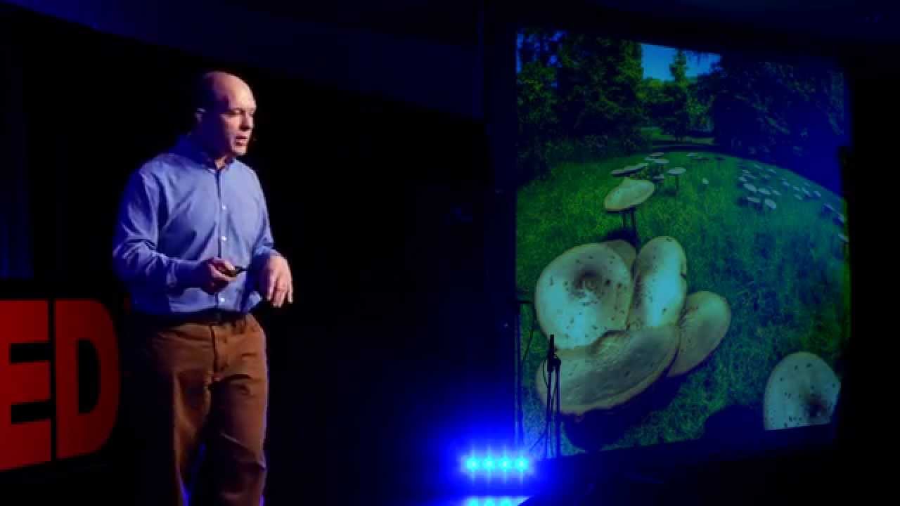 The future of discovery -- citizen science | Rob Dunn | TEDxSantaCruz