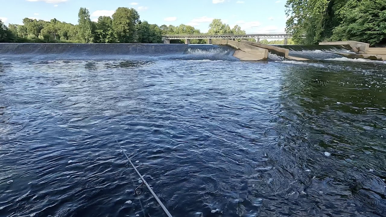 SÉJOUR PÊCHE : Exploration autour des Charente-Maritimes / Charente, Vienne, Clain, Dive, Belle.