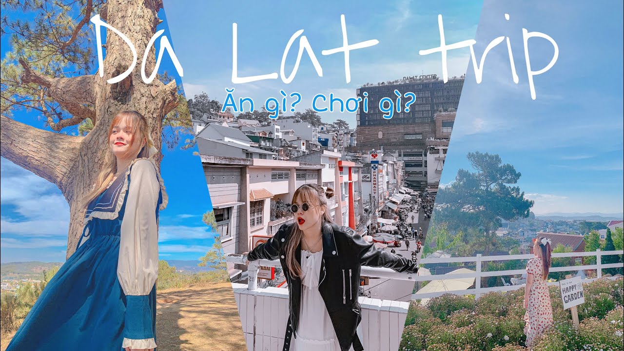 🌼Đà Lạt mùa này chill lắm 🍃 Ăn gì? Chơi gì? Review Đà Lạt tất tần tật 🌹🌺🌻🌼🌷☘