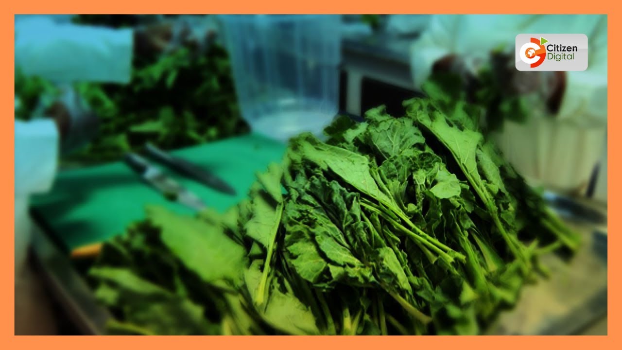 | Kenya's Gold | Spinach Farming in Kenya | Gold Feature |