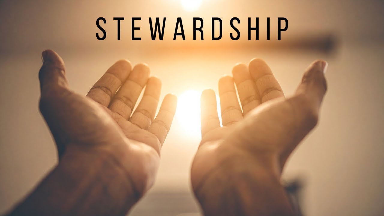 Stewardship