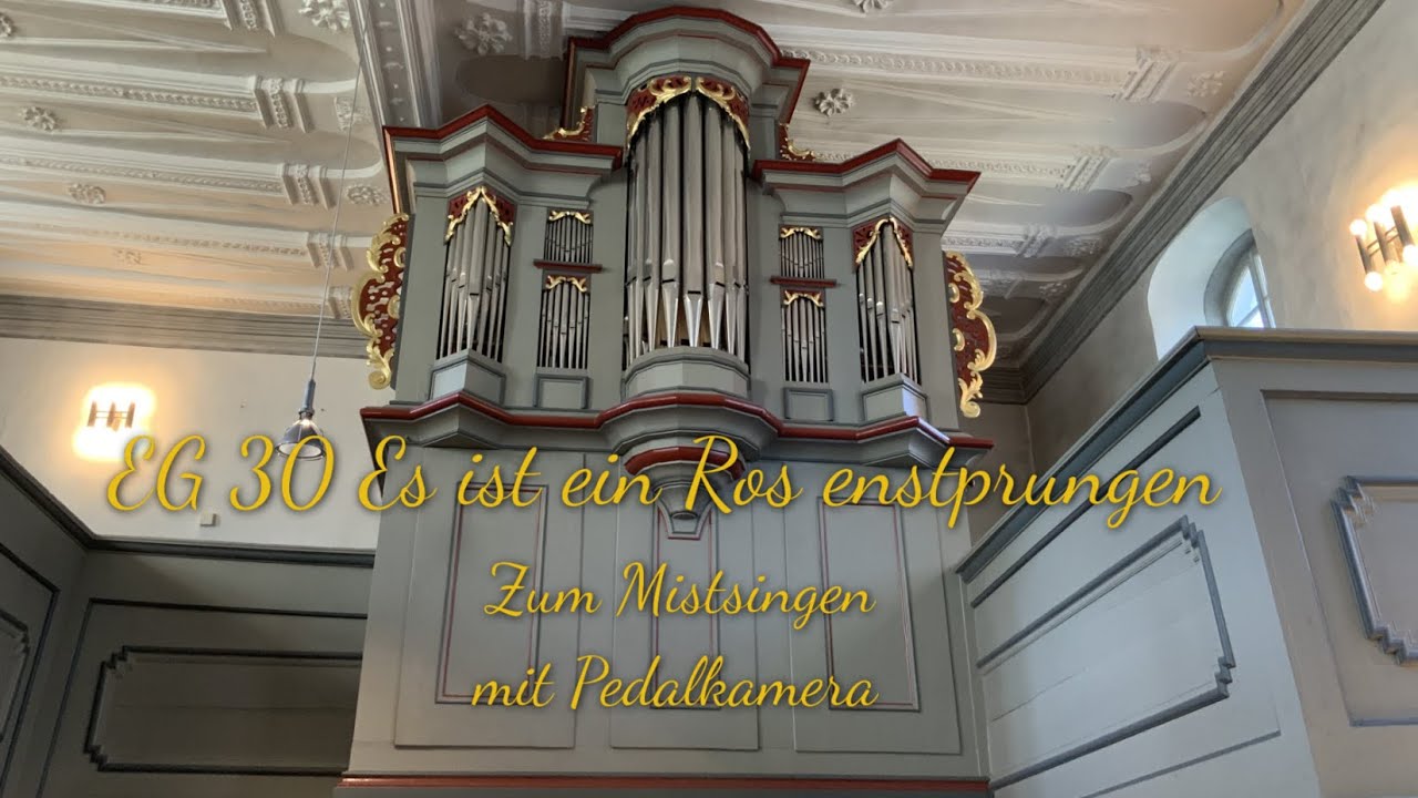 EG 30 Es ist ein Ros entsprungen |mit Pedalkamera| |zum Mitsingen|