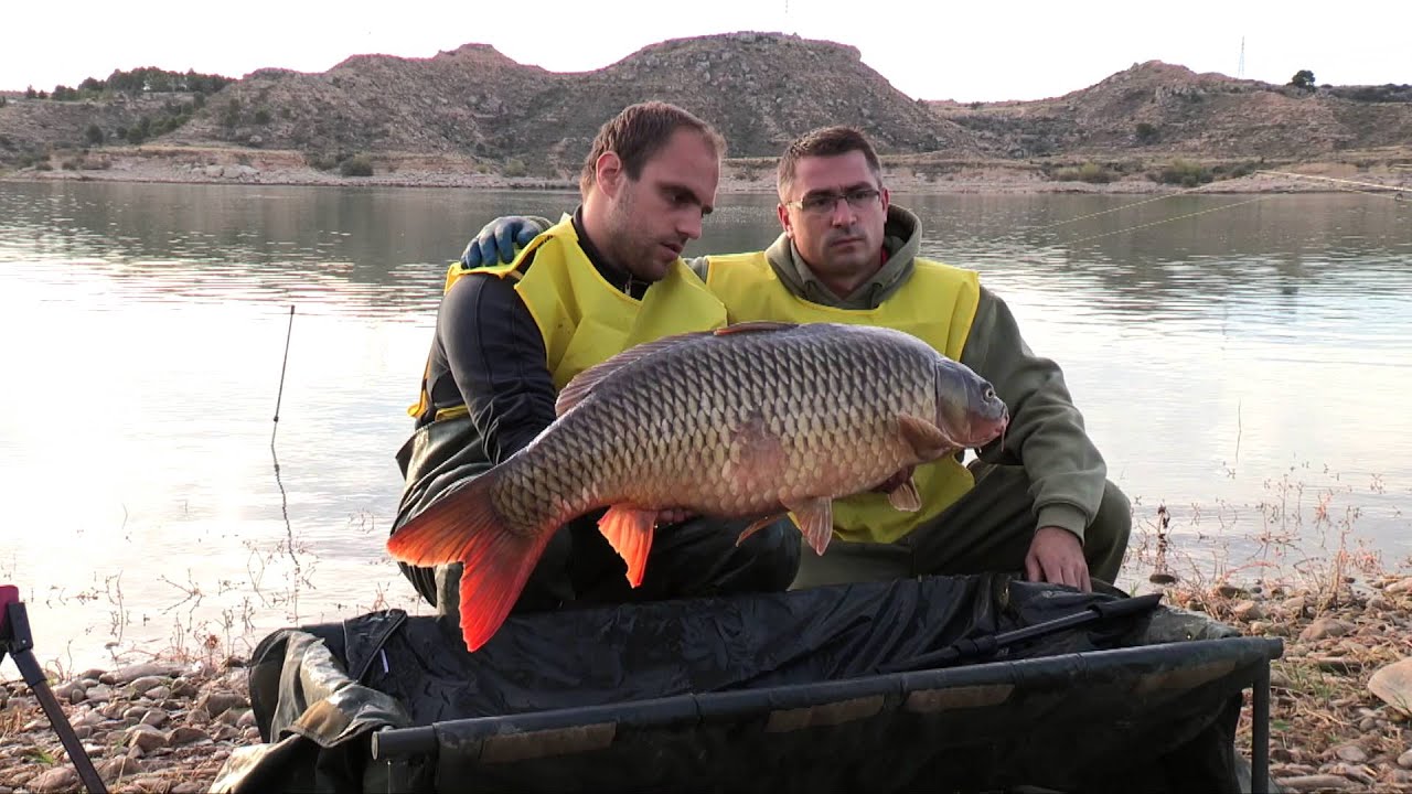 Championnats du monde carpe Espagne 2015