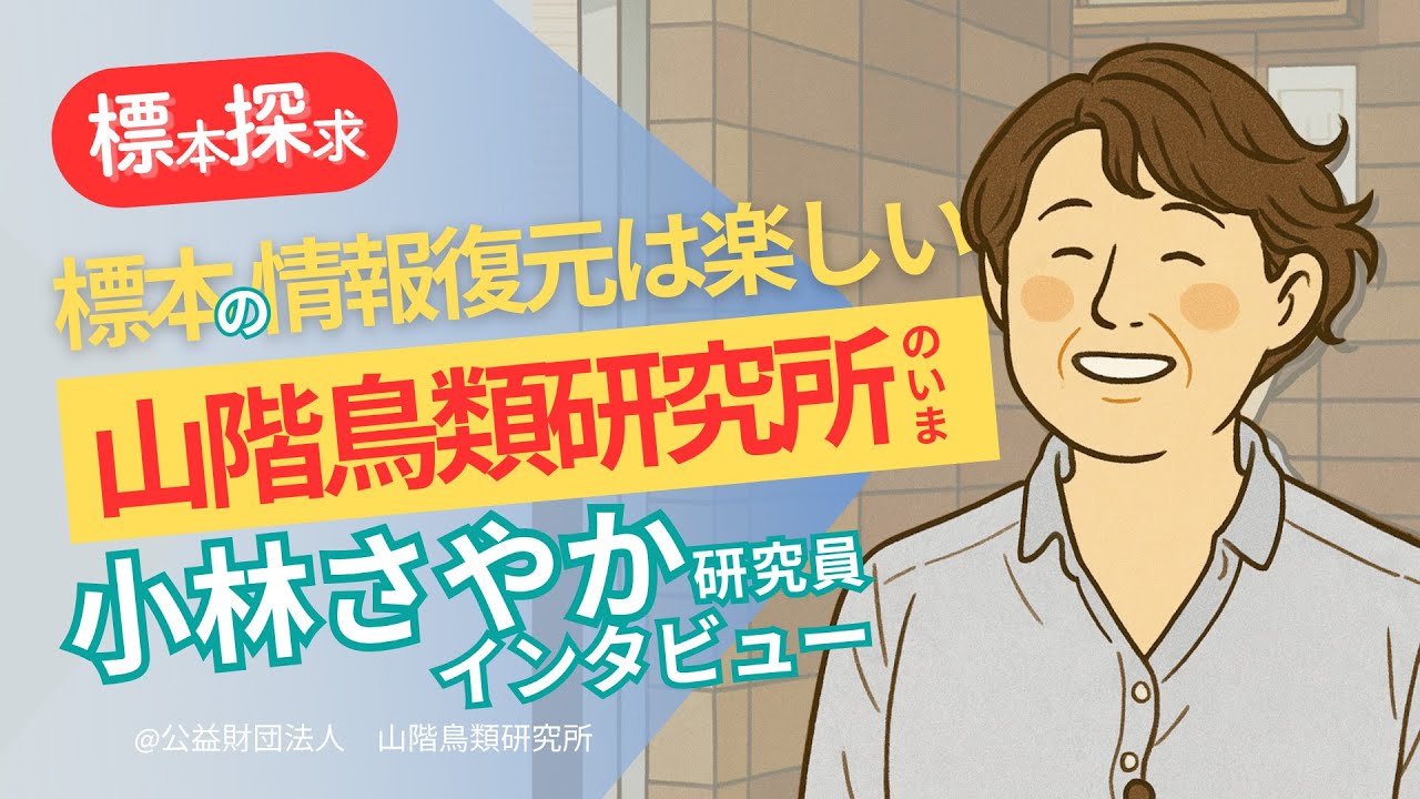 【標本ナビ】#山階鳥類研究所 「標本の情報復元は楽しい！」#小林さやか 研究員インタビュー  #標本 #絶滅 #絶滅危惧種  #南鳥島 #情報復元 #鳥類 #環境保護 #教育