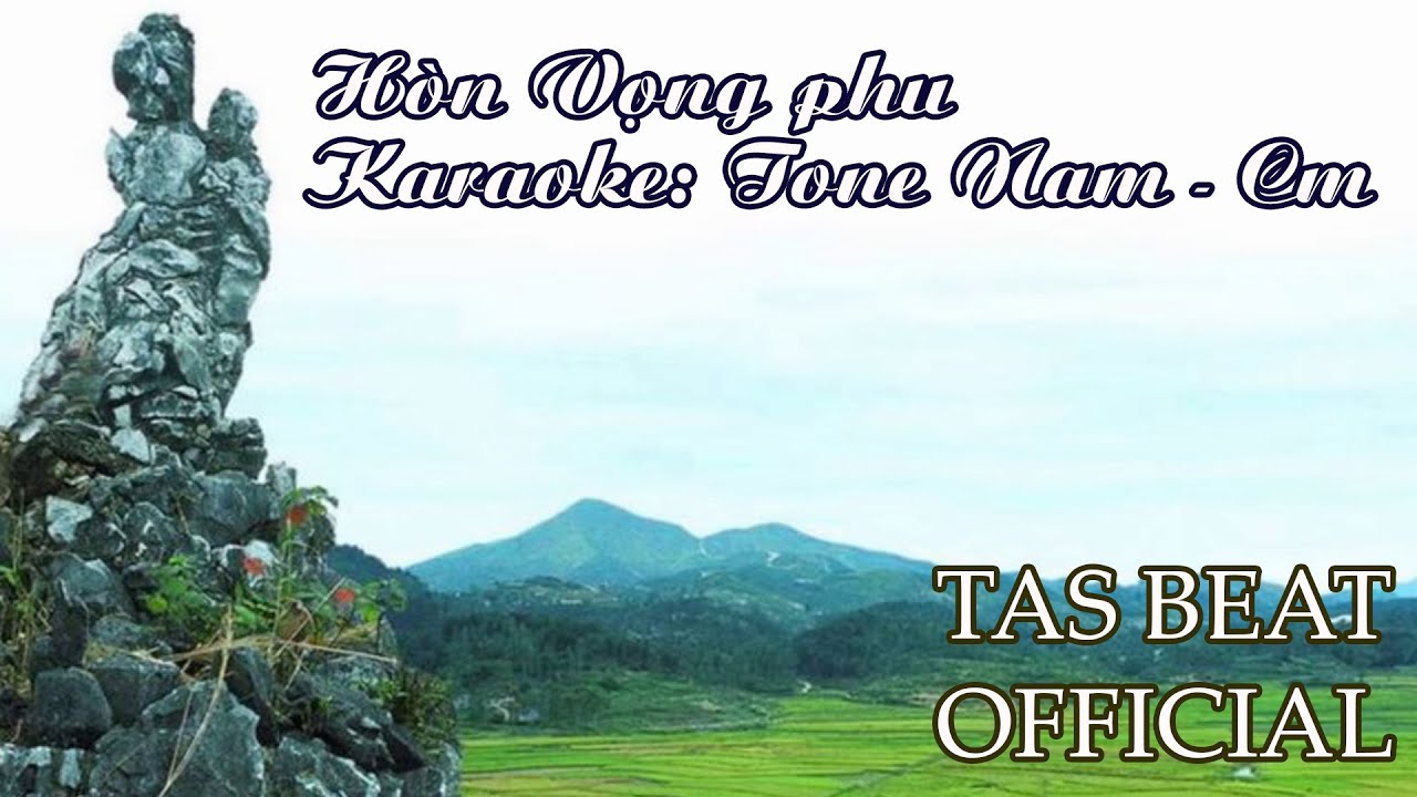 Karaoke Hòn Vọng phu 1- Tone Nam | TAS BEAT