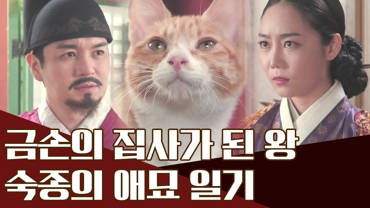 [숙종의 애(愛)묘일기] 집사가 된 왕과 고양이의 기묘한 동거 | 천일야사 206 회 다시보기