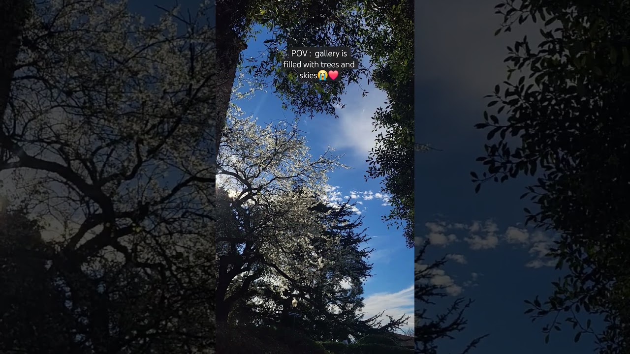 moving trees. 