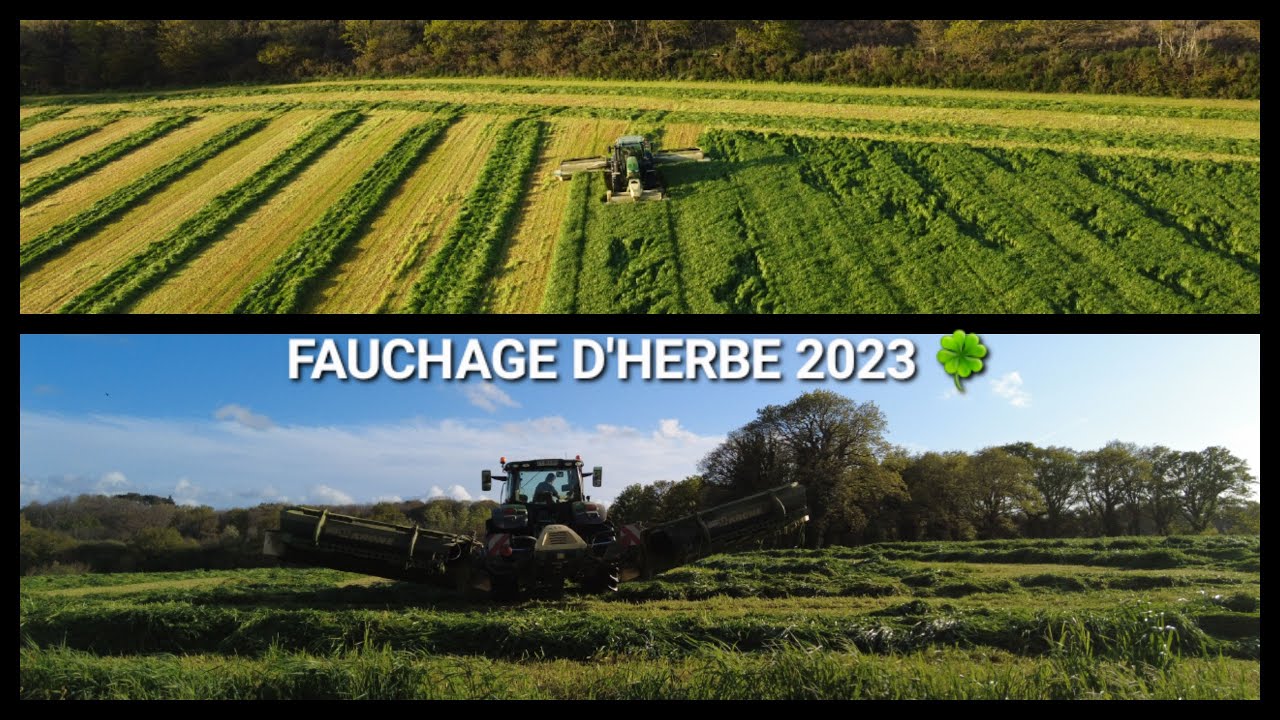 FAUCHAGE D'HERBE 2023 🍀