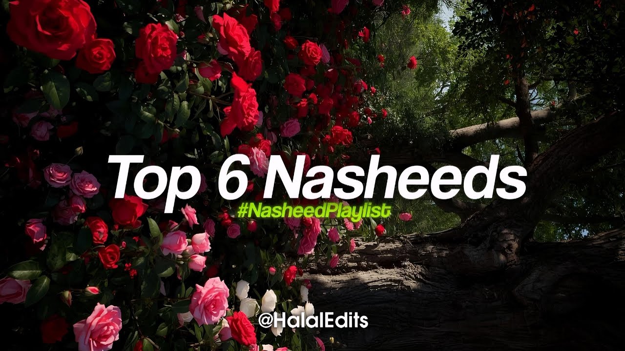 Top 6 Nasheeds SpeedUp+Reverb By Halal Edits. (Beauty Of Existence, Wedding,The Sins,And Many More) 