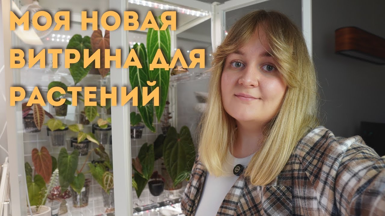 🌿МОЯ НОВАЯ ВИТРИНА ДЛЯ РАСТЕНИЙ | IKEA MILSBO | ГДЕ ПОКУПАЛА, ЗА СКОЛЬКО и КАК ОБОРУДОВАЛА🌿