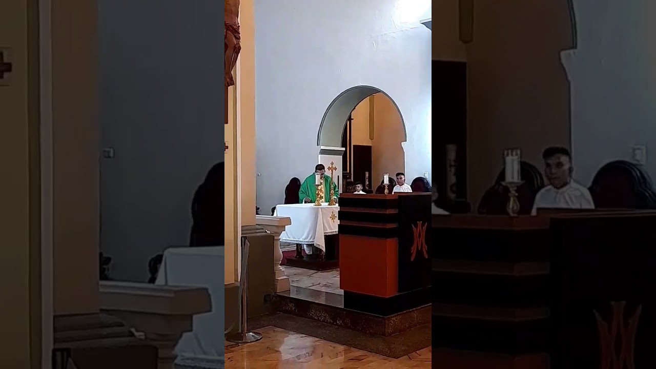 #misadiaria
