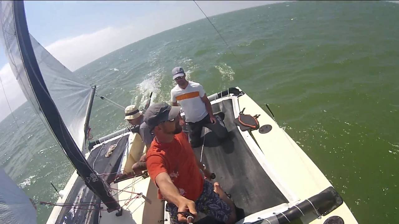 sardine 19