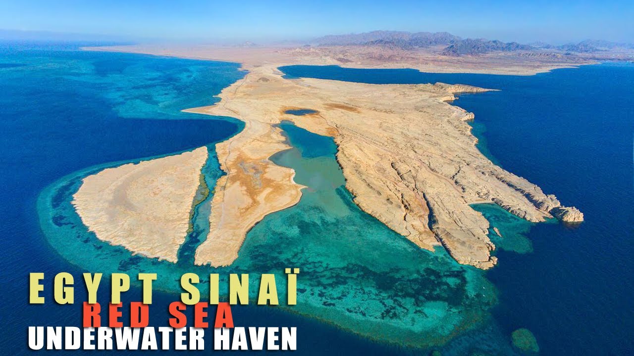 Egypt Sinaî: Ras Muhammad National Park and Dahab: Underwater haven مصر سيناء: محمية رأس محمد ودهب